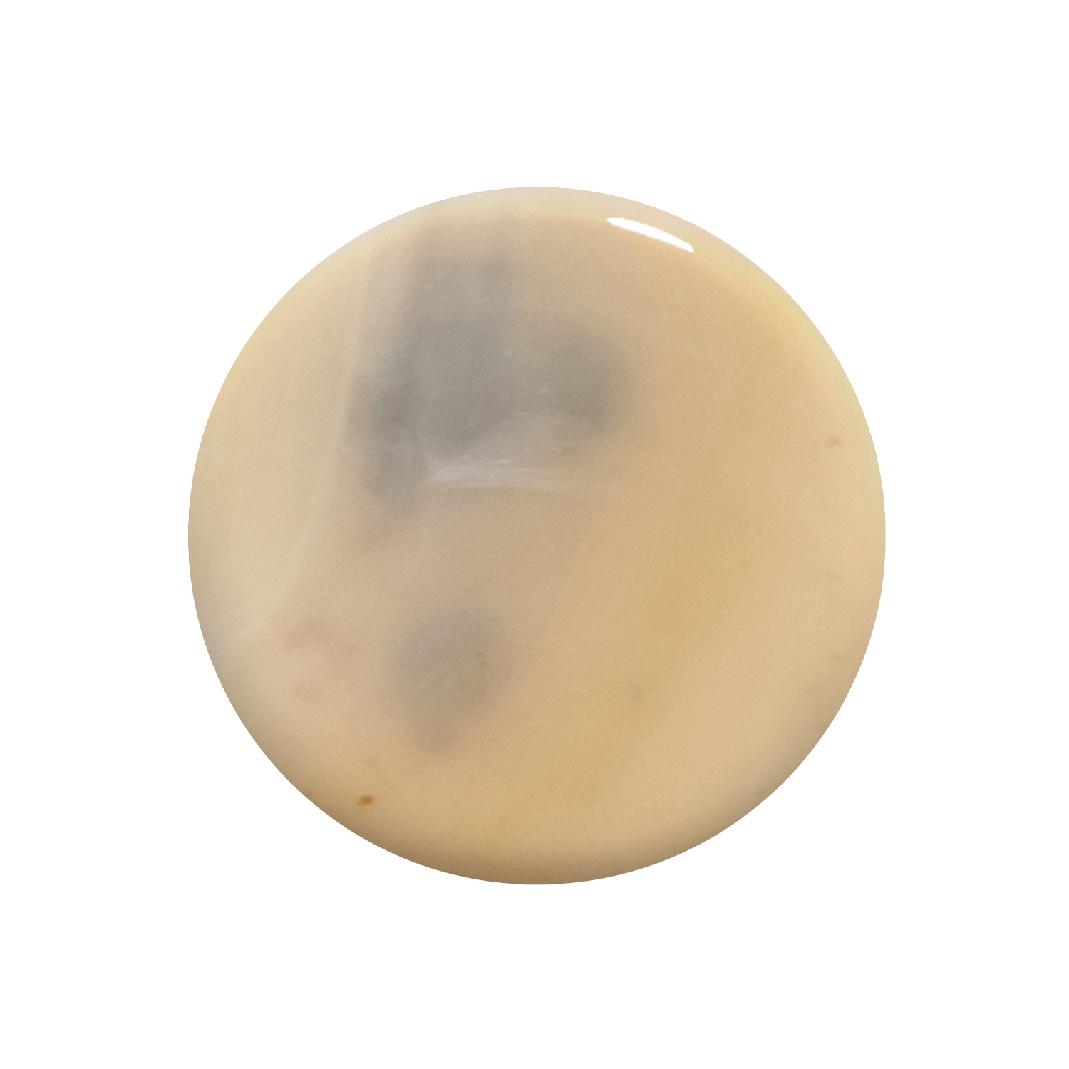 Light Tortoise – Undo Hairware