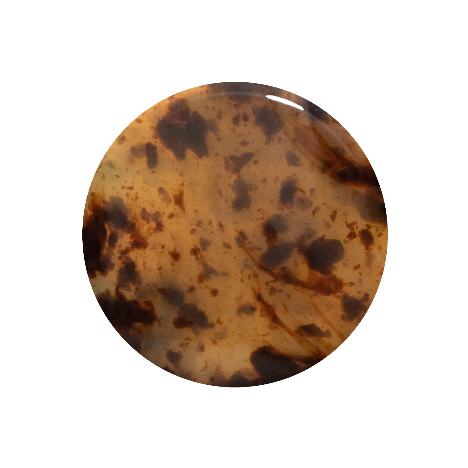 Tortoiseshell