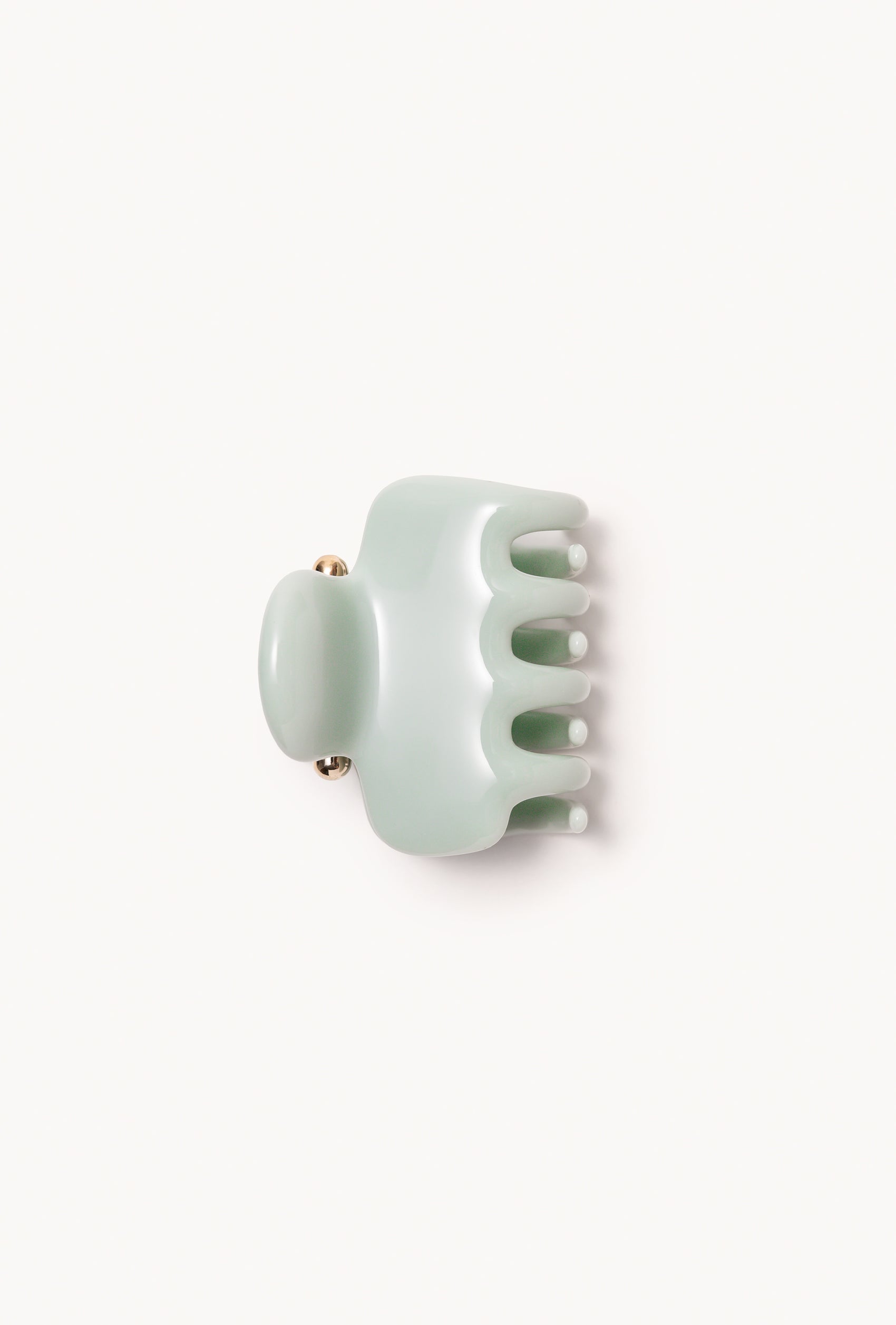 No. 2 Claw Clip